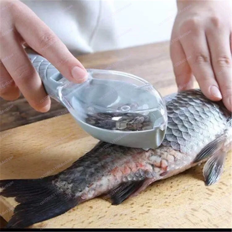 Kitchen Gadgets Popular - 인기 있는 덮개가 있는 생선 비늘