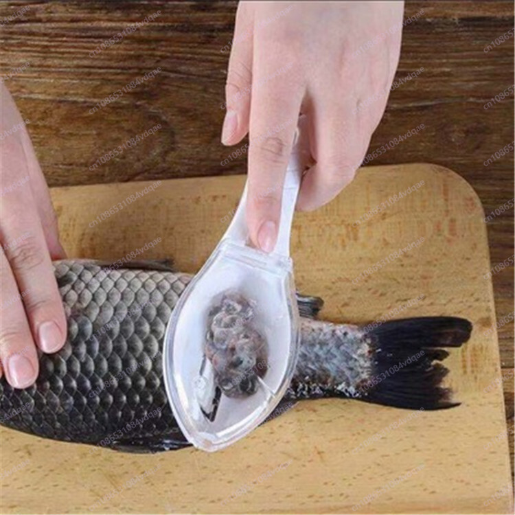 인기 있는 덮개가 있는 생선 비늘 제거 도구, 플라스틱 - Kitchen Gadgets Popular 리뷰 및 가격